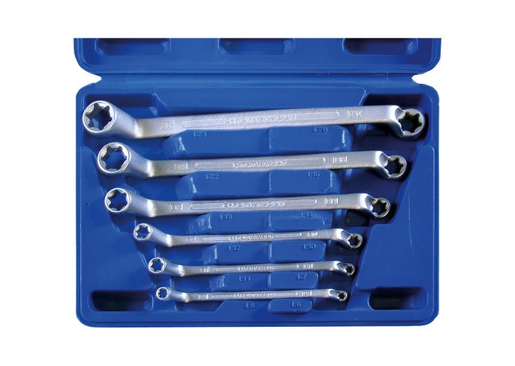 SW-STAHL set okastih torx ključeva e6-e24 01580L