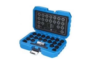 BRILLIANT TOOLS set za skidanje sigurnosnih vijaka na kotaču audi, 22-dijelni, BT691360