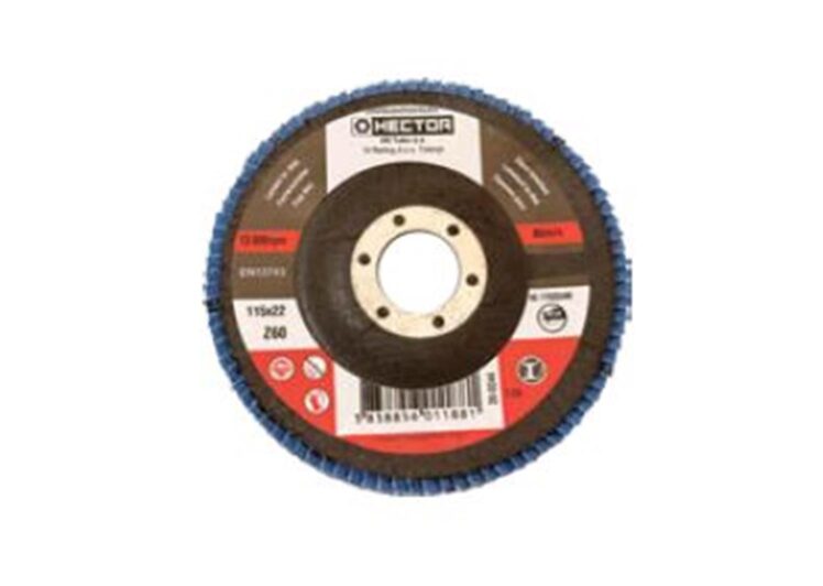 Brusni disk