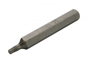SW-STAHL bit nastavak torx T25 dugi, 05231L