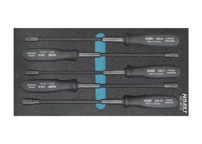 Set odvijača u spužvastom umetku 5-dj. 163-461/5