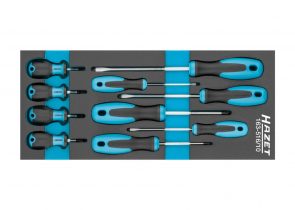 Set odvijača u spužvastom umetku 10-dj. 163-516/10